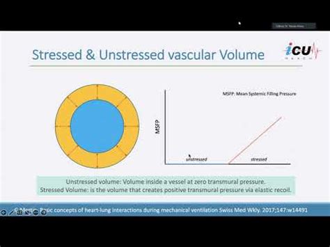 Basic Physiology In Hemodynamics YouTube