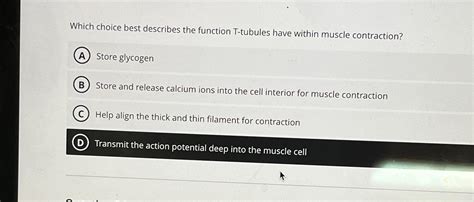 Solved Which choice best describes the function T-tubules | Chegg.com