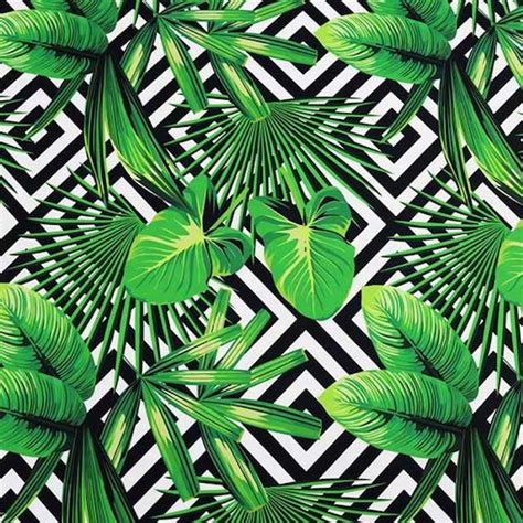 Tropical Upholstery Fabric By The Yard Green Leaves On Black Etsy