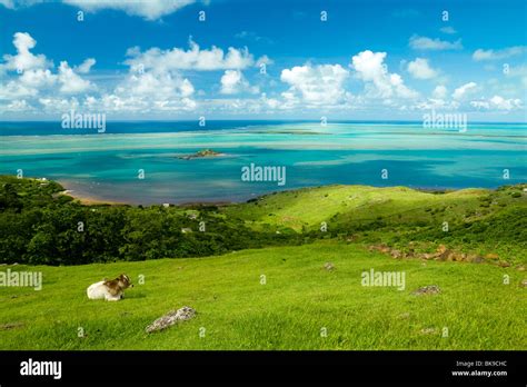 Anse Mourouk And Hermitage Island Rodrigues Island Mauritius Republic