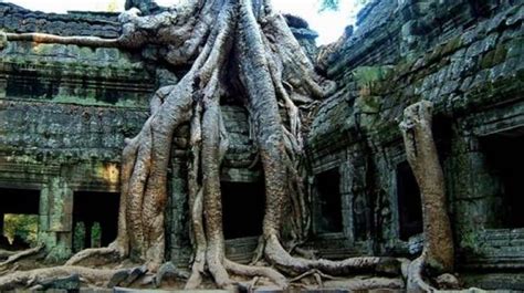 Siem Reap Beng Mealea Tour - Tours by groupTours by group | Laos private tour, Laos group tour ...