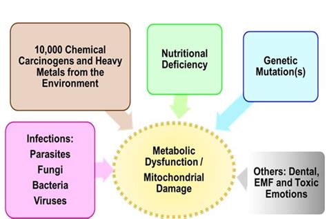 Metabolic Therapy for Cancer, Theory and Practice: Keys to Longevity ...