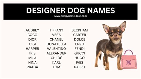 120 Designer Dog Names Puppy Name Ideas