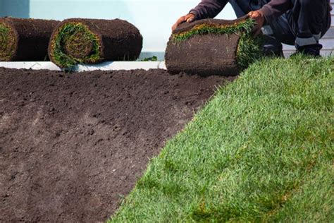 Hauling Sod Stock Photos Pictures And Royalty Free Images Istock