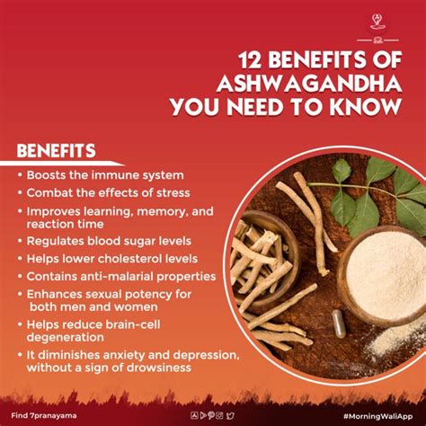 12 Amazing Ashwagandha Benefits You Need To Know Herbs For Health Good