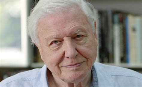 David Attenborough | The Ecologist