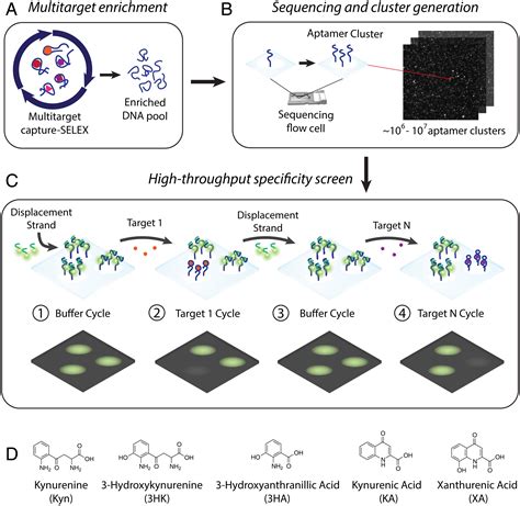 A System For Multiplexed Selection Of Aptamers With Exquisite