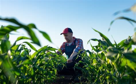 Agroavances Los Agricultores Hablan A Favor De Los Cultivos