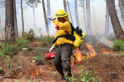 Fuego Instrumento Utilizado Para Eliminar Bosque Y Reemplazarlo Por