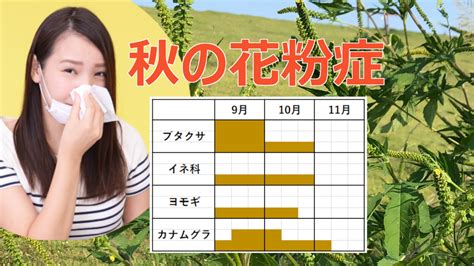 「秋の花粉症特集コーナー【2021年版】」をスタート！花粉の種類、花粉飛散情報や対策法など最新情報を公開｜花粉症クエスト｜花粉症の最新予防