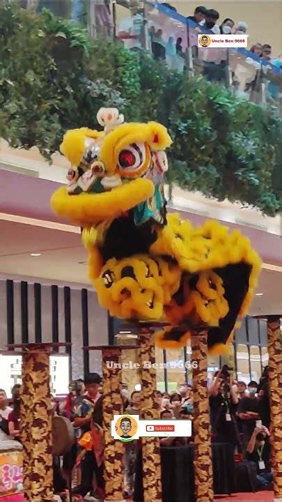 2023 National Acrobatic Lion Dance Championships 南獅高樁 The Starling