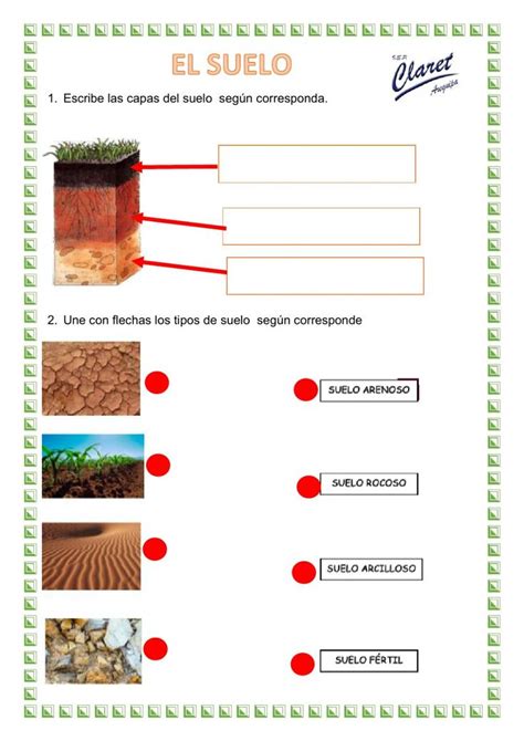 El Suelo Online Worksheet For Primer Grado Primaria Solving Quadratic