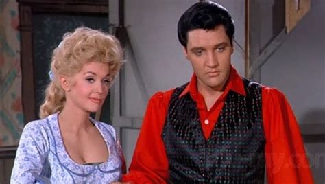 Exploring The Donna Douglas And Elvis Presley Connection Aitechtonic