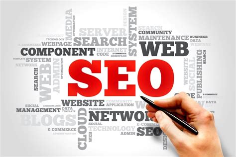 Top Professional Seo Companies Expert Rankings 2023