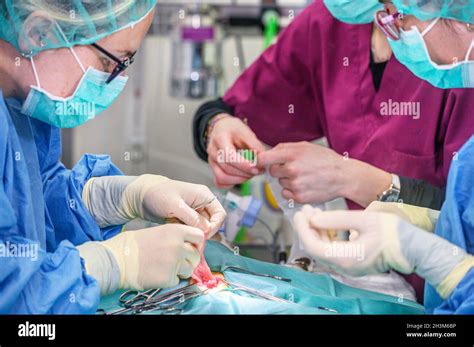 Female surgeon in operation room, operating a patient Stock Photo - Alamy