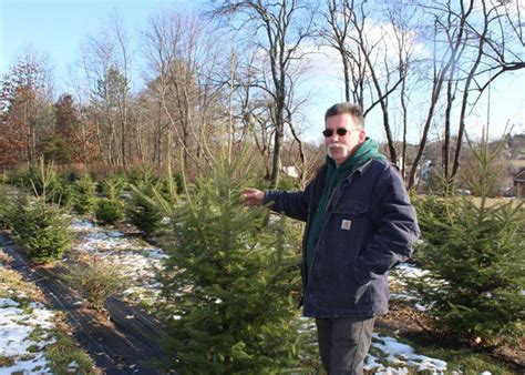 Newburgh Fire Chief Plans Expansion Of 800 Acre Tree Farm Old Airfield