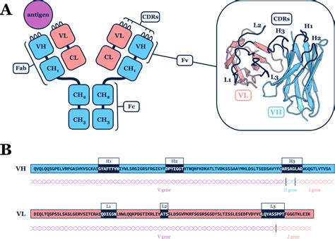 Speaking about Sequence and Structure at a Summit | LaptrinhX / News