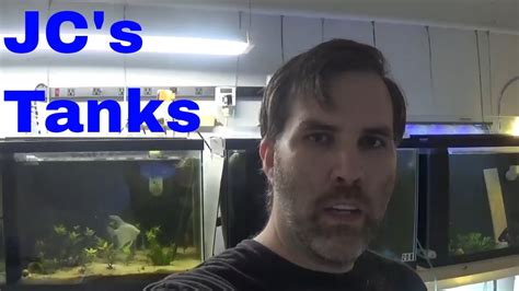 New Additions To The Fish Room Youtube