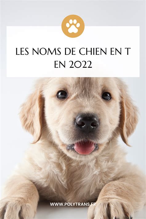 Comme Chaque Ann E La Lettre Attribu E Aux Chiens Change Et En Il