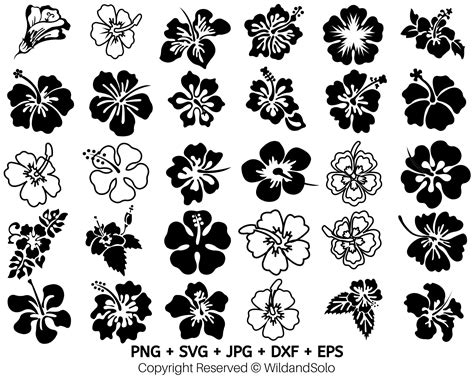 30 Hawaii Hibiscus Flower Svg Bundle Tropical Flower Svg Flowers