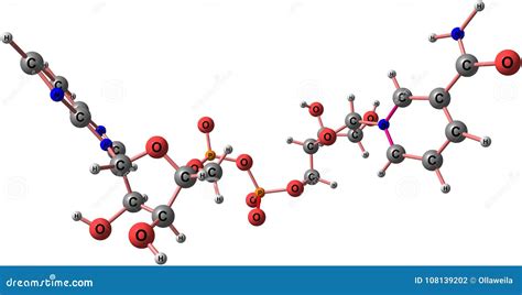 Nicotinamide Adenine Dinucleotide Molecular Structure Isolated On White