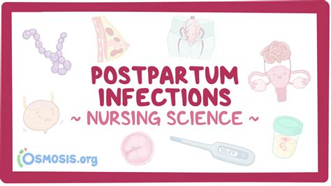 Postpartum Infections Nursing Video And Causes Osmosis