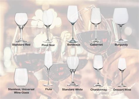 The Importance Of Choosing A Proper Wine Glass Shape 2022 Guide Icharts