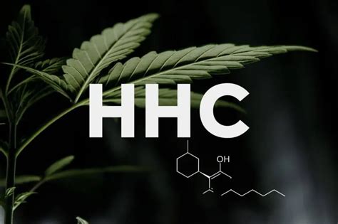 Hhc Vs Delta 8 The Differences And More