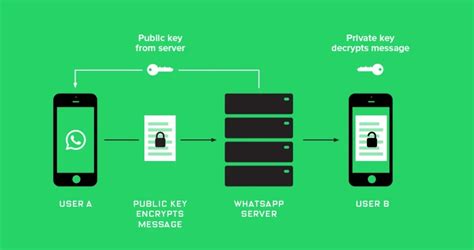 How To Verify That Whatsapp Messages Are Encrypted Up Running Inc