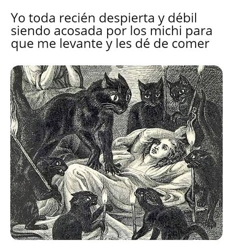 Yo Toda Reci N Despierta Y D Bil Siendo Acosada Por Los Michi Para Que