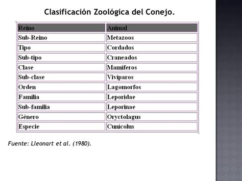 Generalidades Y Razas De Conejos