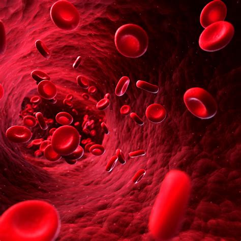 What is Angiogenesis? | Medispec