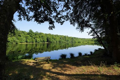 Letang De Lande Forêt Conseil Départemental De Lorne