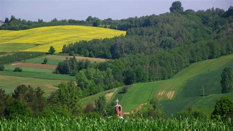 SKIERBIESZOWSKI PARK KRAJOBRAZOWY Urząd Gminy Skierbieszów