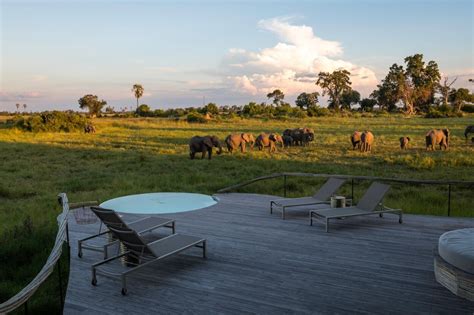 Luxe Rondreis Naar Botswana Exclusief Botswana En Vic Falls