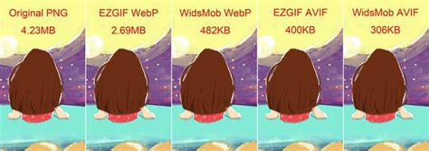 AVIF V S WebP Which Is The Best Photo Format For Your Website