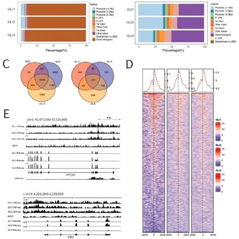 Chip Seq Analysis Of Gli Binding Across Cell Lines A Binding Of