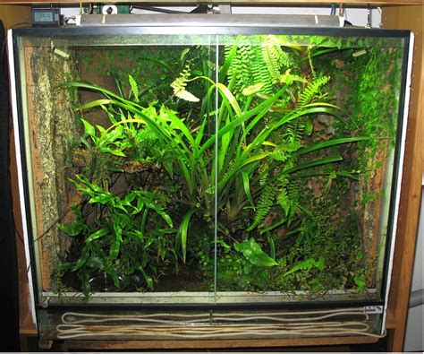 How To Turn A Fish Tank Into A Garden Step By Step Guide FallsGarden