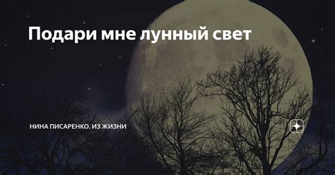 Подари мне лунный свет | Нина Писаренко. Из жизни | Дзен