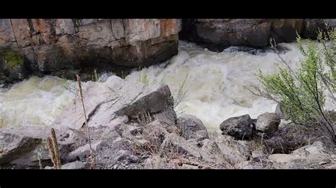 South Fork Rio Grande River Colorado W Lesa Allen Haynie YouTube