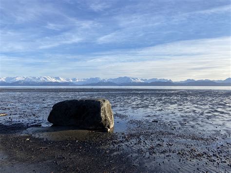 Homer Nonprofits Provide Essential Services not provided by