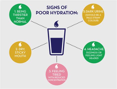 It Is Important To Notice The Signs Of Poor Hydration And To Prevent