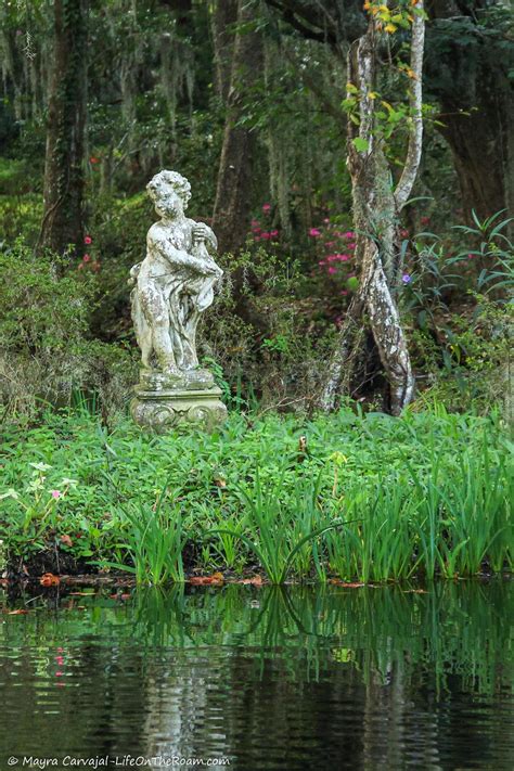 How Magnolia Plantation In Charleston SC Became One Of The Most