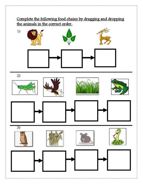 Food Chain Activity Food Web Worksheet Food Chain Activities Food