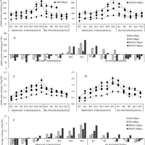 Effects Of Drought Stress And Re Watering On Soluble Protein A B And