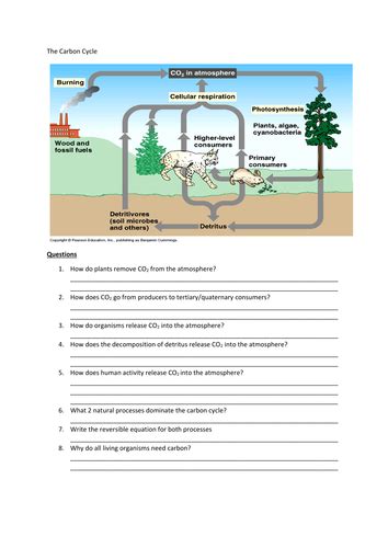 The Carbon Cycle Teaching Resources