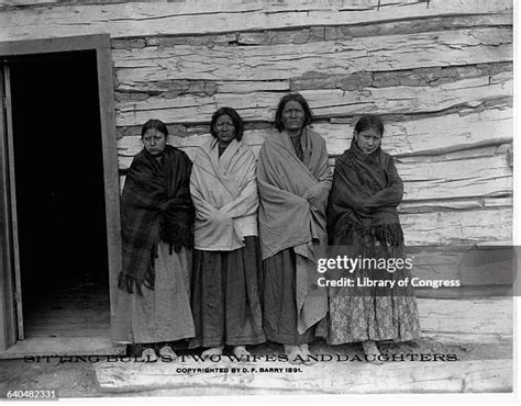 30 Sitting Bull Family Stock Photos, High-Res Pictures, and Images - Getty Images