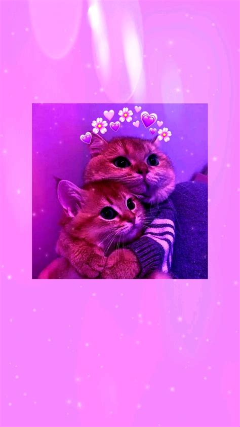 purple cat aesthetic wallpapers | Aesthetic themes, Cat aesthetic ...