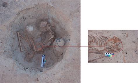 Skeletons Of Pregnant Egyptian Woman And Fetus Found By Archaeologists ...