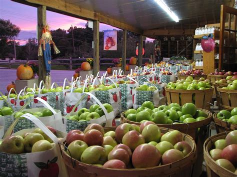 Farm Stand — Blue Ridge Farm Direct Market Association